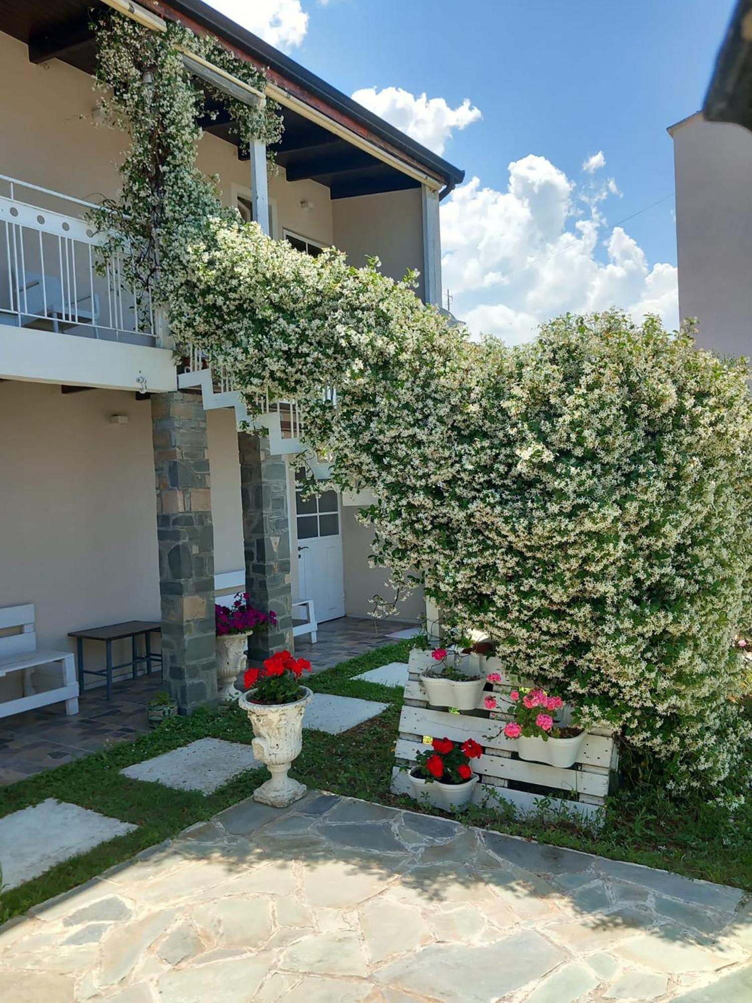 Nili Hotel Vlorë Buitenkant foto