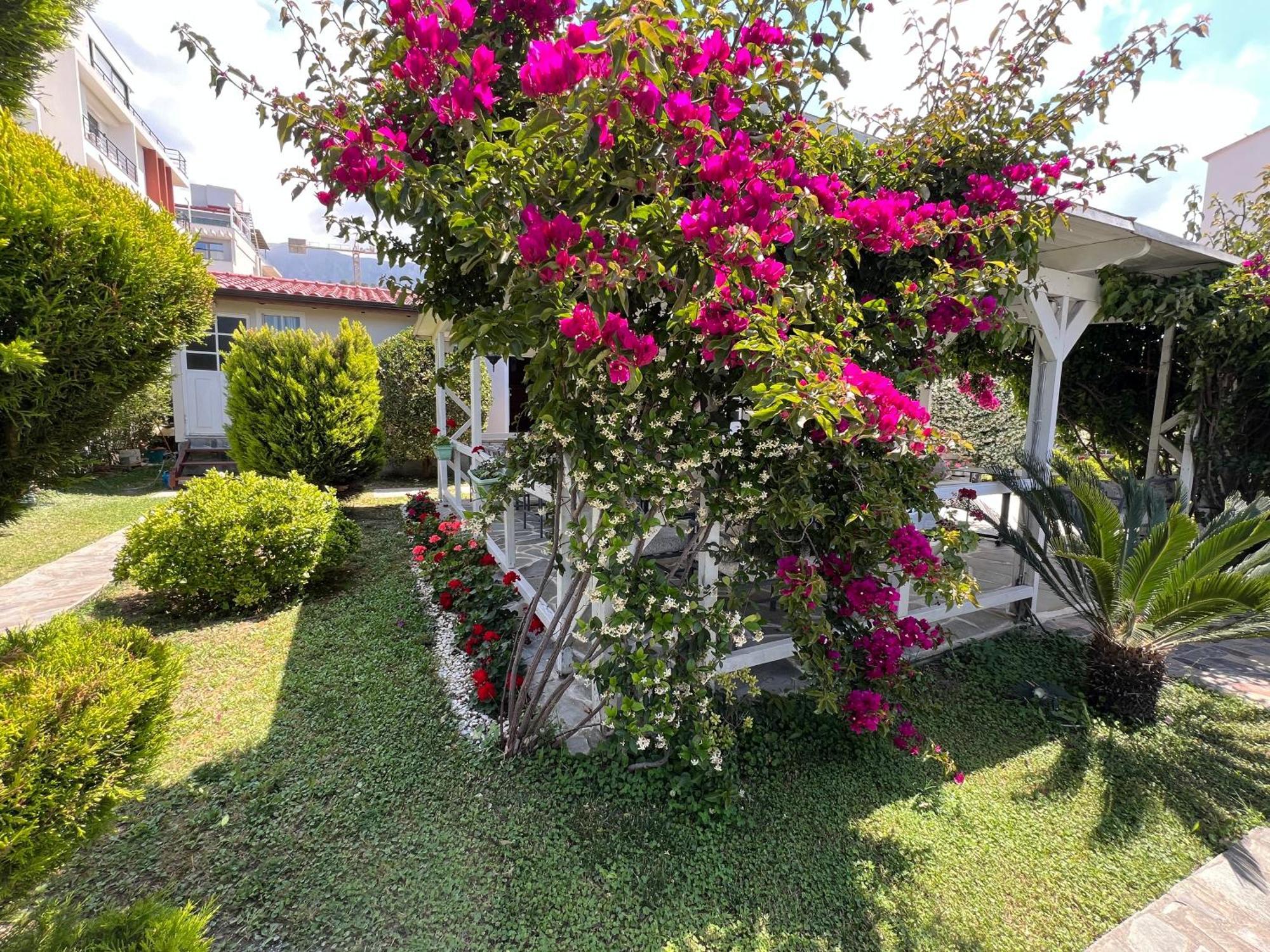 Nili Hotel Vlorë Buitenkant foto